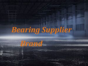 famous bearing supplier brand