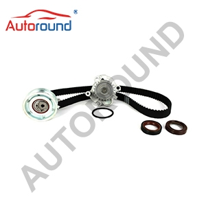 Timing Belt Kits TCKWP296 GTKWP296 PP296LK1 WPK41127 WPK-0025 20353K For VOLKSWAGEN