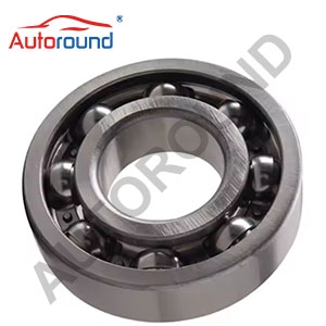 Wheel Bearing 6304 ZNR