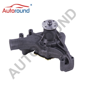 Water Pump 12522016 10049026 For CHEVROLET