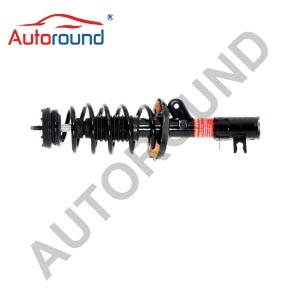Shock absorber 172934 For BUICK