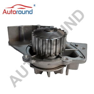 Water Pump 9569147388 E111006 1609402380 1741067G00 1741086CT0 For CITROEN 